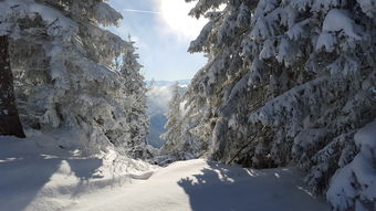 乐鱼体育在线登录-全国高山滑雪公开赛新王加冕,高山滑雪第四届